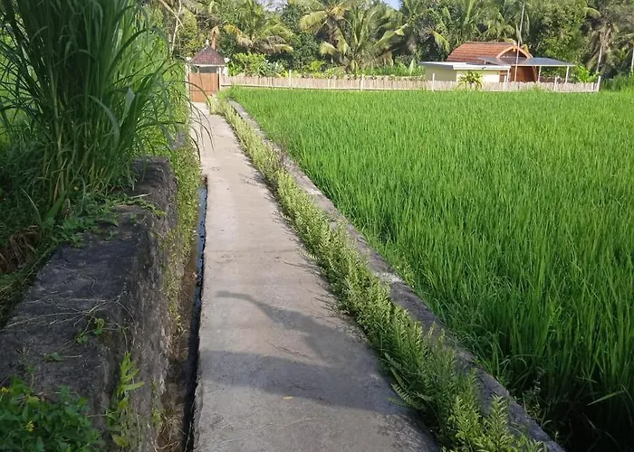 Kubu Selat And Glamping